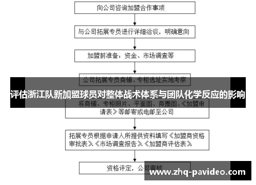 评估浙江队新加盟球员对整体战术体系与团队化学反应的影响