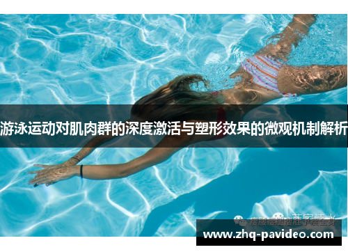 游泳运动对肌肉群的深度激活与塑形效果的微观机制解析