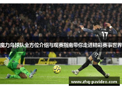 魔力鸟球队全方位介绍与观赛指南带你走进精彩赛事世界
