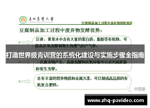 打造世界级青训营的系统化建设与实施步骤全指南